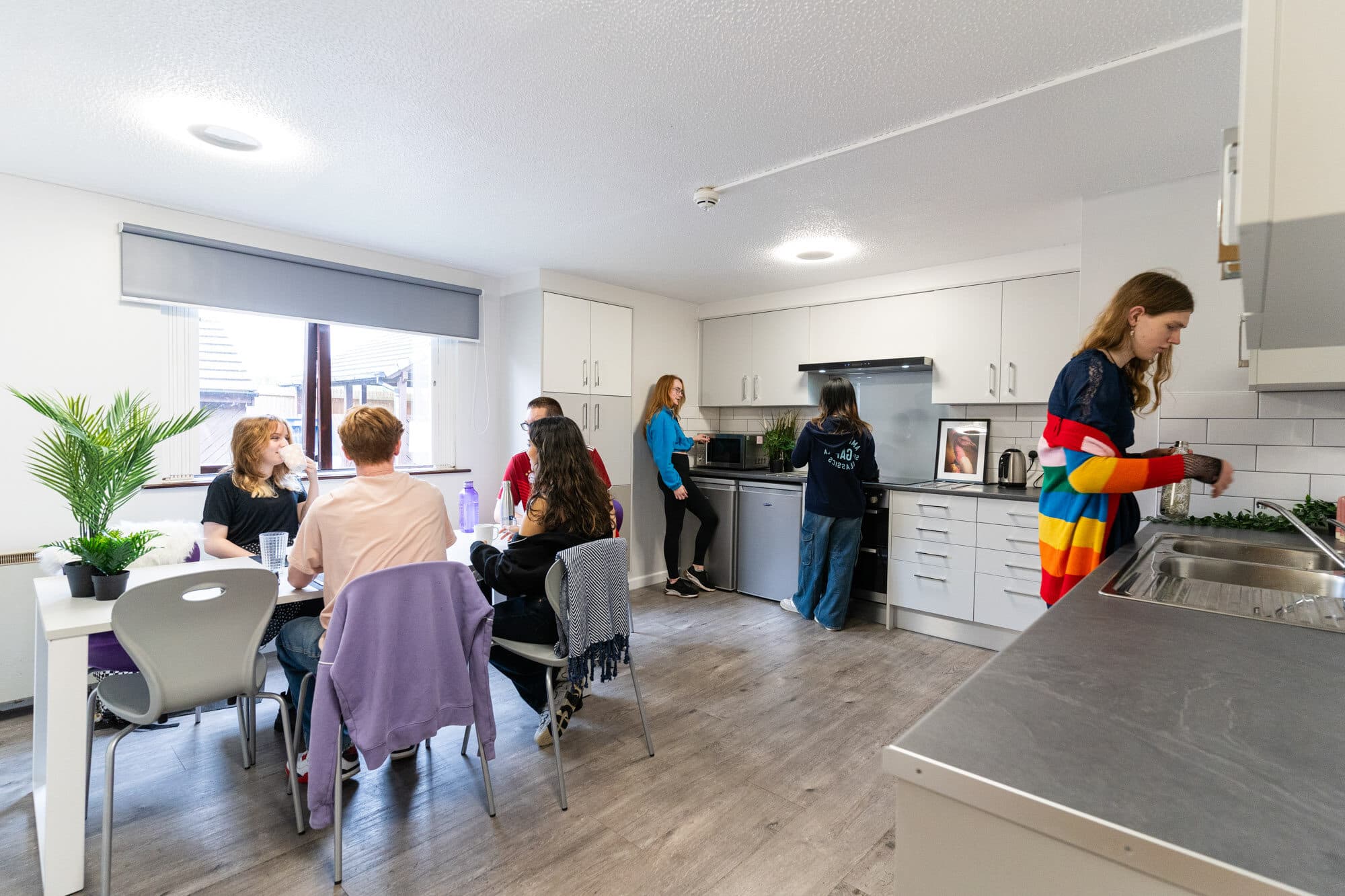 Students cooking together in a shared flat kitchen